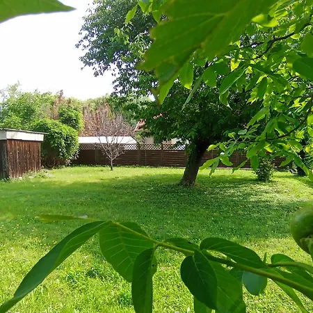 Vadvirag Haz * Balatonfüred